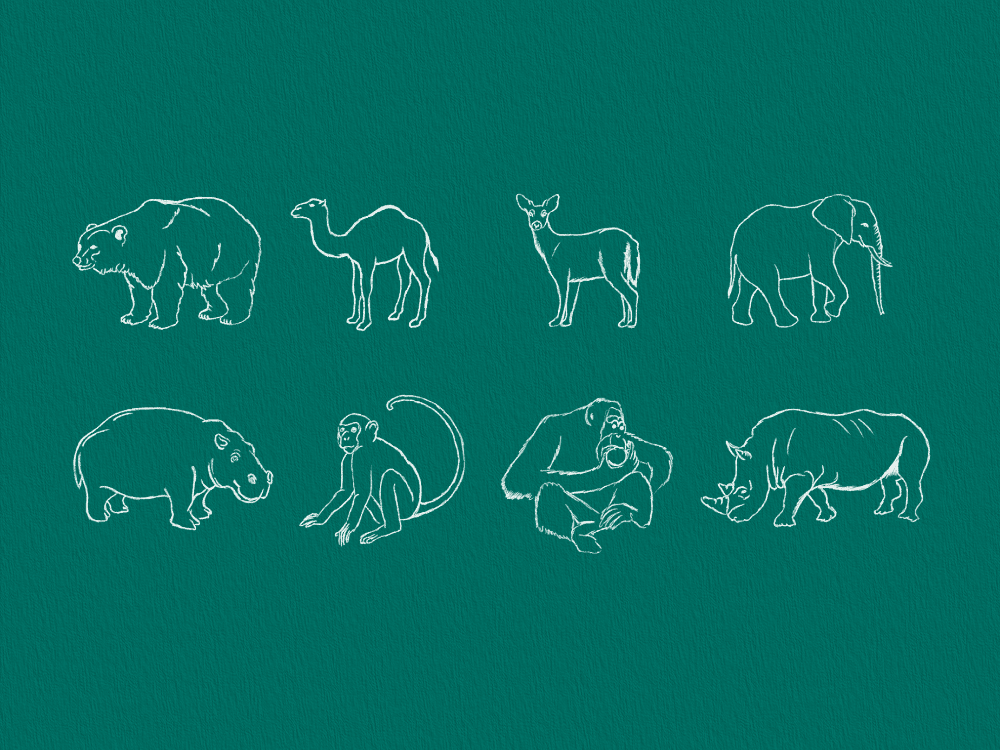 Hand-drawn animal illustrations on teal